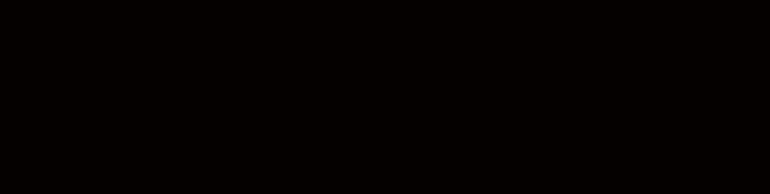 nybanner1